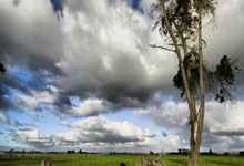 九游官方娱乐登录 -里程碑夜！亚特兰大复出首秀，意甲今晨刷纪录，目标明确，年轻球员得到机会的简单介绍